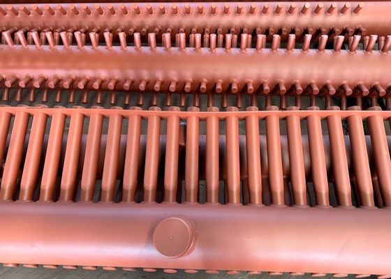 رأس البخار عالية الاستقرار في الغلاية 23000mm الطول الصناعية